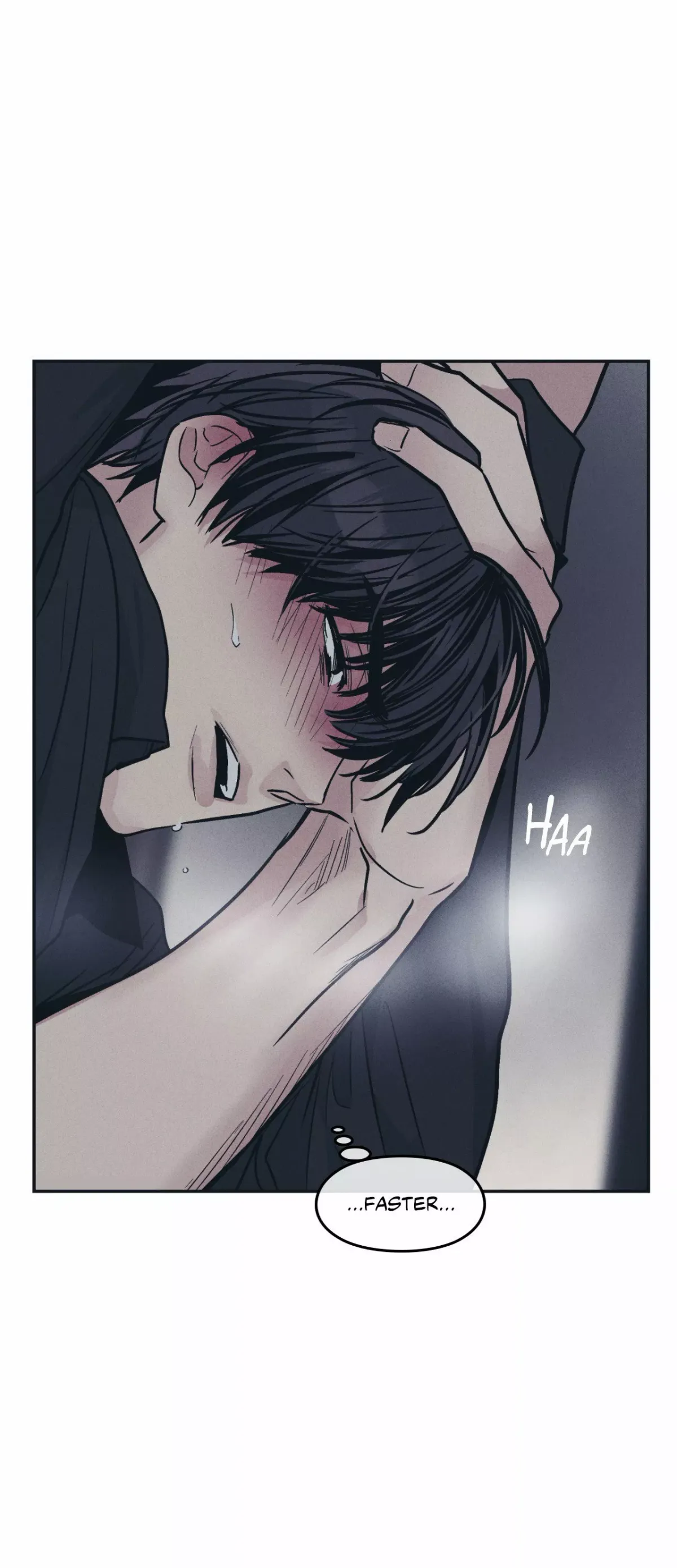 1911095a8d06